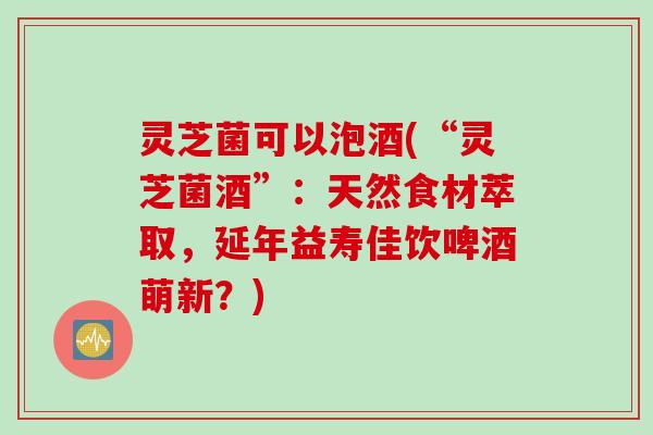 灵芝菌可以泡酒(“灵芝菌酒”：天然食材萃取，延年益寿佳饮啤酒萌新？)