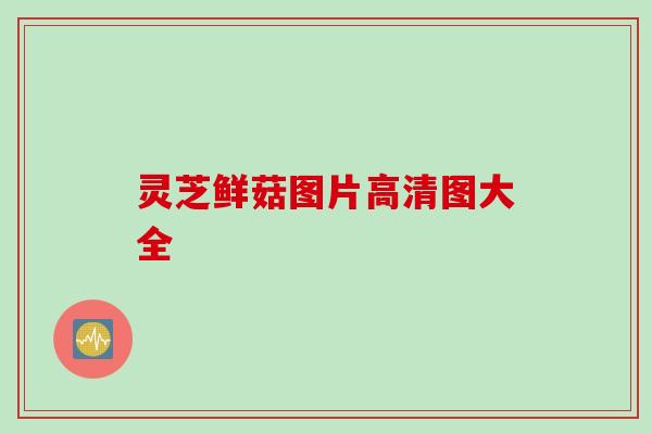 灵芝鲜菇图片高清图大全