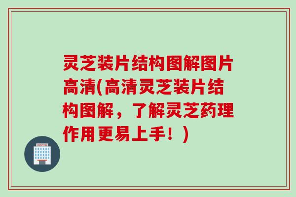 灵芝装片结构图解图片高清(高清灵芝装片结构图解，了解灵芝药理作用更易上手！)