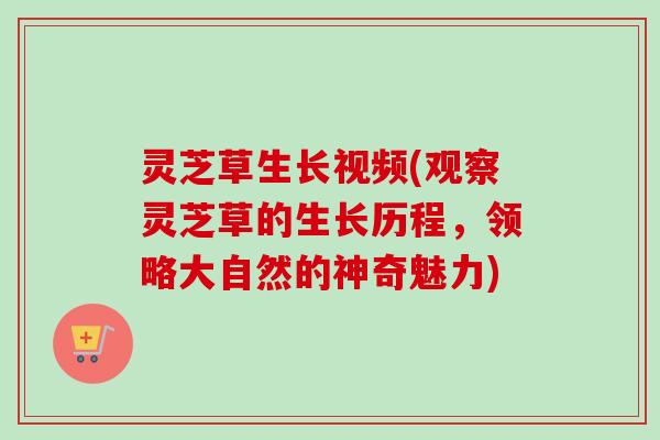 灵芝草生长视频(观察灵芝草的生长历程,领略大自然的神奇魅力) 灵芝草生长视频(观察灵芝草的生长历程,领略大自然的神奇魅力)