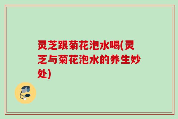 灵芝跟菊花泡水喝(灵芝与菊花泡水的养生妙处)