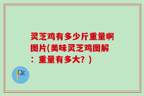 灵芝鸡有多少斤重量啊图片(美味灵芝鸡图解：重量有多大？)