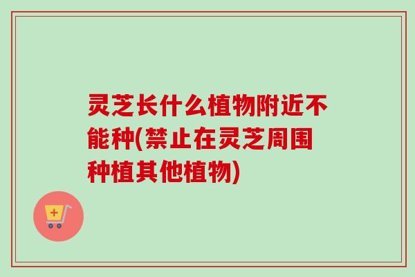 灵芝长什么植物附近不能种(禁止在灵芝周围种植其他植物)