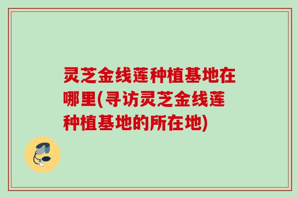 灵芝金线莲种植基地在哪里(寻访灵芝金线莲种植基地的所在地)