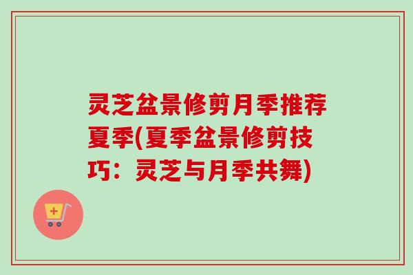 灵芝盆景修剪月季推荐夏季(夏季盆景修剪技巧：灵芝与月季共舞)