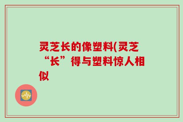 灵芝长的像塑料(灵芝“长”得与塑料惊人相似
