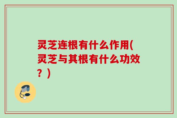 灵芝连根有什么作用(灵芝与其根有什么功效?) 灵芝连根有什么作用(灵芝与其根有什么功效?)