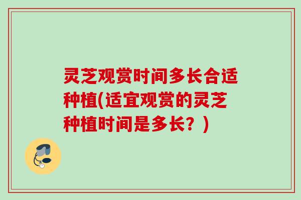 灵芝观赏时间多长合适种植(适宜观赏的灵芝种植时间是多长？)