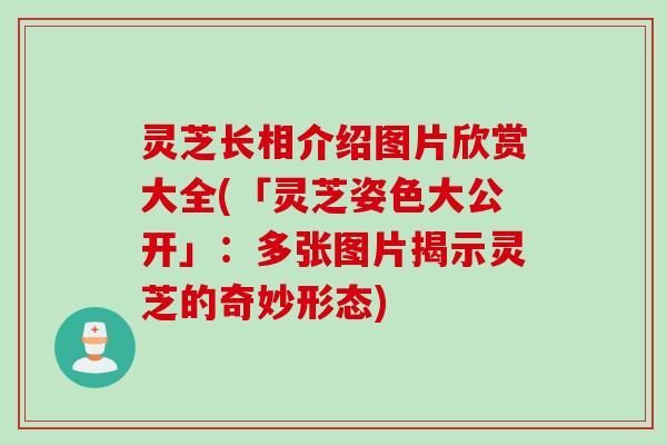 灵芝长相介绍图片欣赏大全(「灵芝姿色大公开」：多张图片揭示灵芝的奇妙形态)