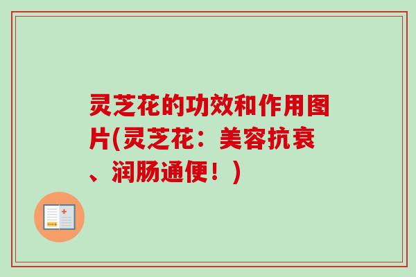 灵芝花的功效和作用图片(灵芝花：美容抗衰、润肠通便！)