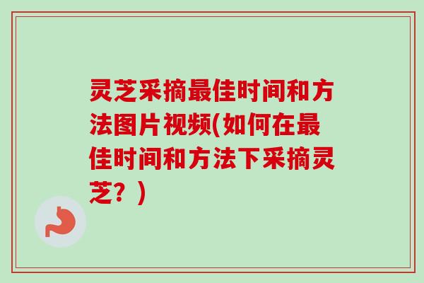 灵芝采摘最佳时间和方法图片视频(如何在最佳时间和方法下采摘灵芝？)