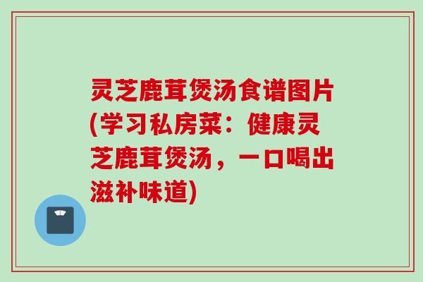 灵芝鹿茸煲汤食谱图片(学习私房菜:健康灵芝鹿茸煲汤,一口喝出滋补味道) 灵芝鹿茸煲汤食谱图片(学习私房菜:健康灵芝鹿茸煲汤,一口喝出滋补味道)