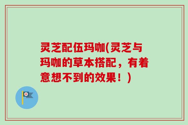灵芝配伍玛咖(灵芝与玛咖的草本搭配，有着意想不到的效果！)