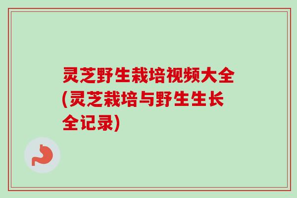 灵芝野生栽培视频大全(灵芝栽培与野生生长全记录)