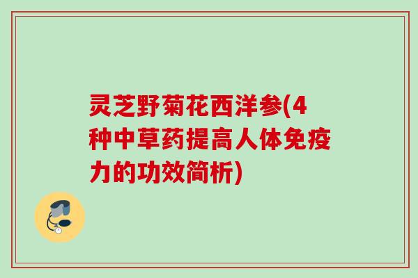 灵芝野菊花西洋参(4种中草药提高人体免疫力的功效简析)