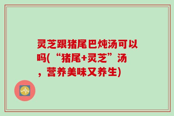 灵芝跟猪尾巴炖汤可以吗(“猪尾+灵芝”汤，营养美味又养生)