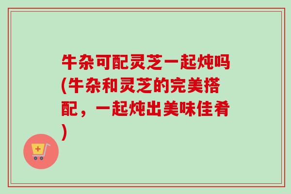 牛杂可配灵芝一起炖吗(牛杂和灵芝的完美搭配,一起炖出美味佳肴) 牛杂可配灵芝一起炖吗(牛杂和灵芝的完美搭配,一起炖出美味佳肴)