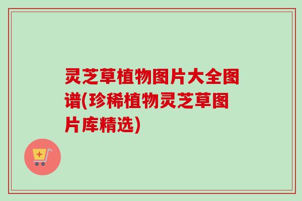 灵芝草植物图片大全图谱(珍稀植物灵芝草图片库精选)