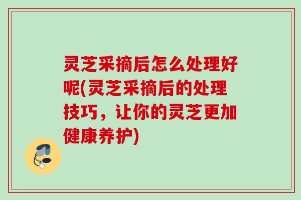 灵芝采摘后怎么处理好呢(灵芝采摘后的处理技巧，让你的灵芝更加健康养护)