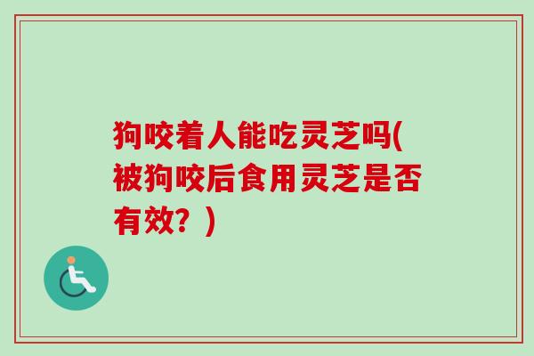 狗咬着人能吃灵芝吗(被狗咬后食用灵芝是否有效？)