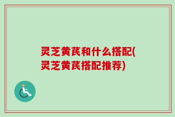 灵芝黄芪和什么搭配(灵芝黄芪搭配推荐)