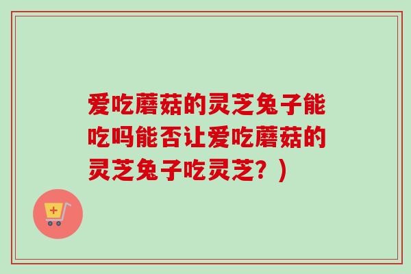 爱吃蘑菇的灵芝兔子能吃吗能否让爱吃蘑菇的灵芝兔子吃灵芝？)