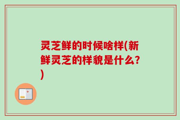 灵芝鲜的时候啥样(新鲜灵芝的样貌是什么？)