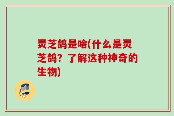 灵芝鸽是啥(什么是灵芝鸽?了解这种神奇的生物) 灵芝鸽是啥(什么是灵芝鸽?了解这种神奇的生物)