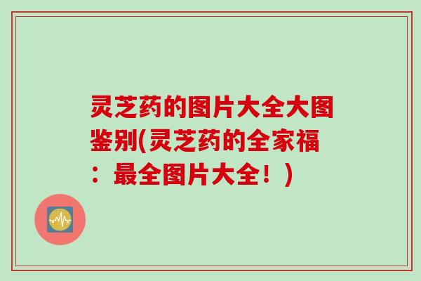 灵芝药的图片大全大图鉴别(灵芝药的全家福：最全图片大全！)