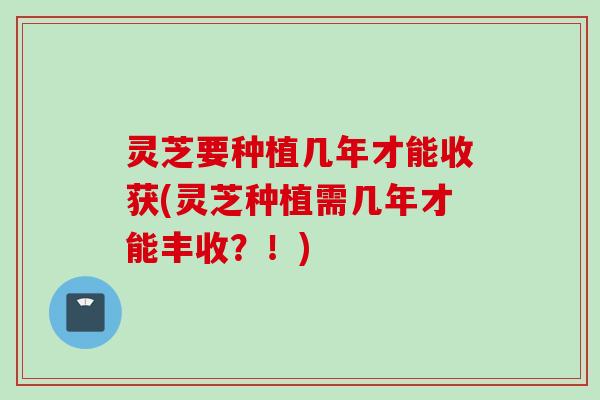 灵芝要种植几年才能收获(灵芝种植需几年才能丰收？！)