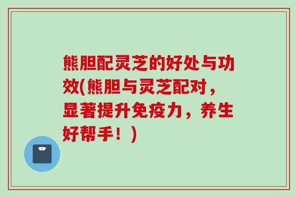 熊胆配灵芝的好处与功效(熊胆与灵芝配对,显著提升免疫力,养生好帮手!) 熊胆配灵芝的好处与功效(熊胆与灵芝配对,显著提升免疫力,养生好帮手!)