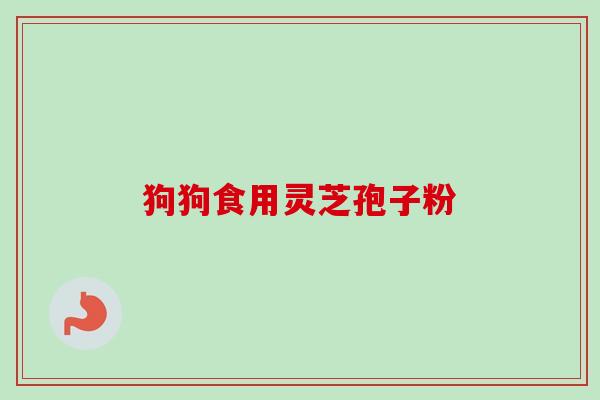 狗狗食用灵芝孢子粉