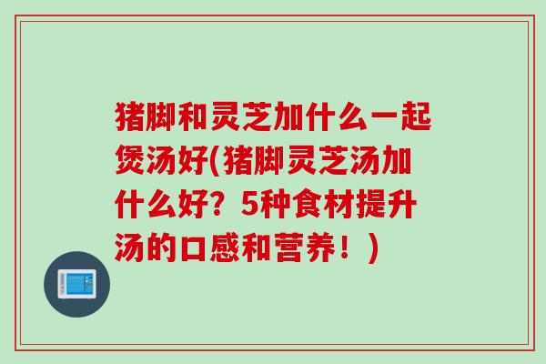 猪脚和灵芝加什么一起煲汤好(猪脚灵芝汤加什么好？5种食材提升汤的口感和营养！)