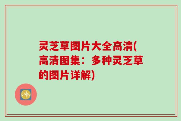 灵芝草图片大全高清(高清图集：多种灵芝草的图片详解)