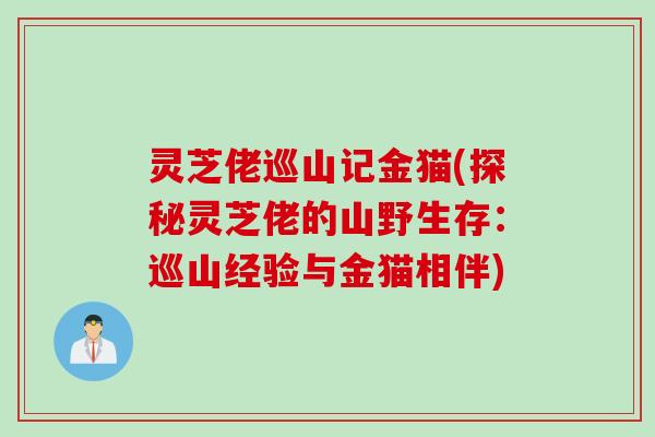灵芝佬巡山记金猫(探秘灵芝佬的山野生存：巡山经验与金猫相伴)