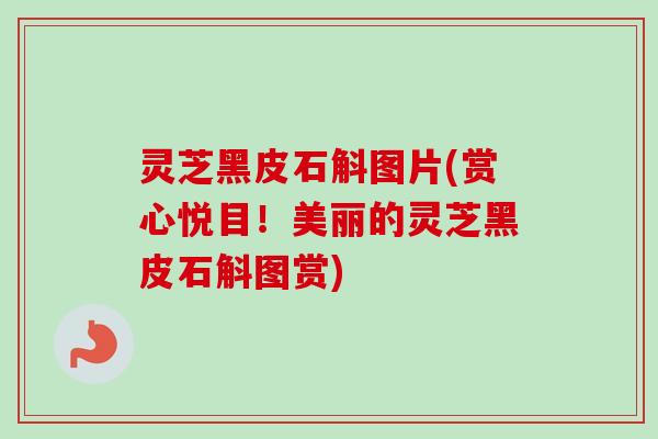 灵芝黑皮石斛图片(赏心悦目！美丽的灵芝黑皮石斛图赏)