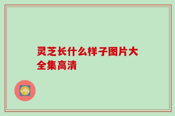 灵芝长什么样子图片大全集高清