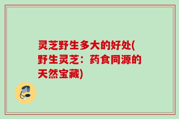 灵芝野生多大的好处(野生灵芝：药食同源的天然宝藏)