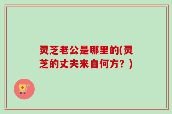 灵芝老公是哪里的(灵芝的丈夫来自何方？)