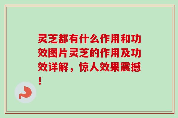 灵芝都有什么作用和功效图片灵芝的作用及功效详解,惊人效果震撼! 灵芝都有什么作用和功效图片灵芝的作用及功效详解,惊人效果震撼!