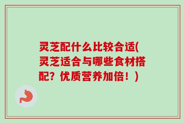 灵芝配什么比较合适(灵芝适合与哪些食材搭配?优质营养加倍!) 灵芝配什么比较合适(灵芝适合与哪些食材搭配?优质营养加倍!)