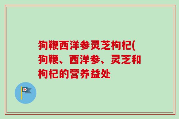 狗鞭西洋参灵芝枸杞(狗鞭、西洋参、灵芝和枸杞的营养益处