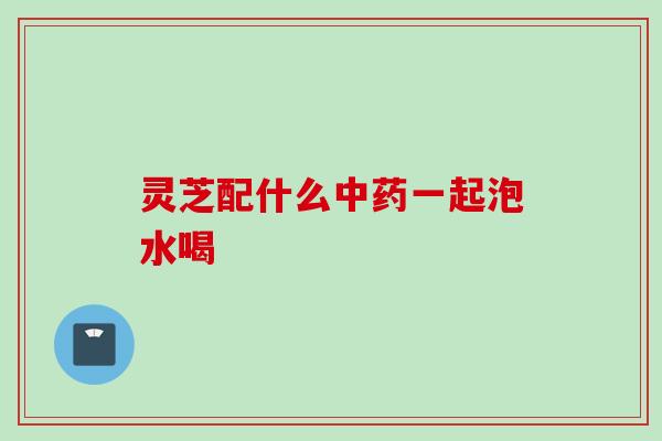 灵芝配什么一起泡水喝