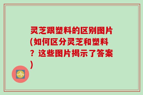 灵芝跟塑料的区别图片(如何区分灵芝和塑料？这些图片揭示了答案)