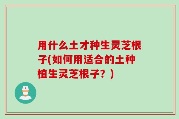 用什么土才种生灵芝根子(如何用适合的土种植生灵芝根子?) 用什么土才种生灵芝根子(如何用适合的土种植生灵芝根子?)