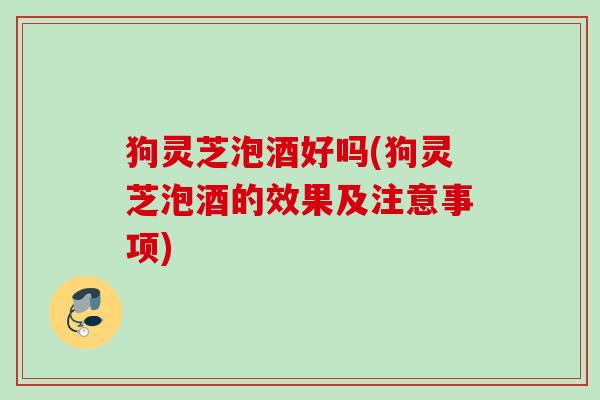 狗灵芝泡酒好吗(狗灵芝泡酒的效果及注意事项)