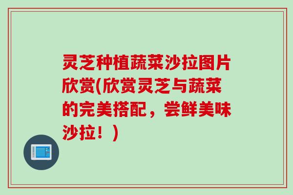 灵芝种植蔬菜沙拉图片欣赏(欣赏灵芝与蔬菜的完美搭配，尝鲜美味沙拉！)