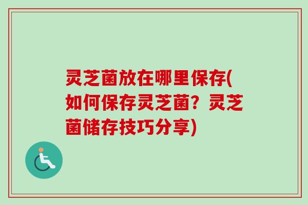 灵芝菌放在哪里保存(如何保存灵芝菌?灵芝菌储存技巧分享) 灵芝菌放在哪里保存(如何保存灵芝菌?灵芝菌储存技巧分享)