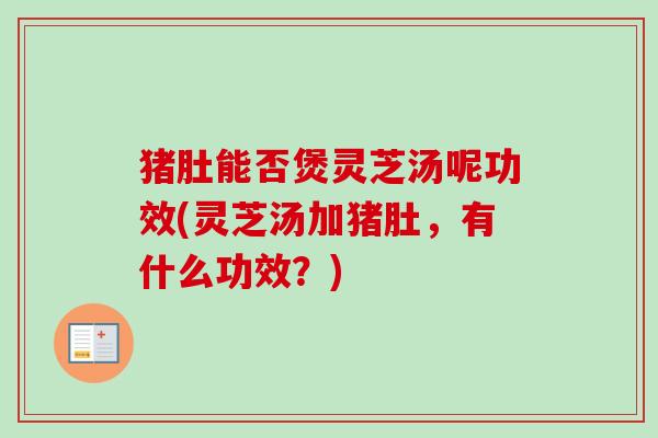 猪肚能否煲灵芝汤呢功效(灵芝汤加猪肚,有什么功效?) 猪肚能否煲灵芝汤呢功效(灵芝汤加猪肚,有什么功效?)