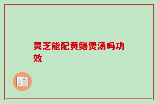 灵芝能配黄鳝煲汤吗功效